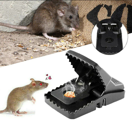 Pièges à souris révolutionnaire